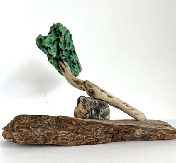 Bonsai 2 madera a la deriva v stoupa.gal