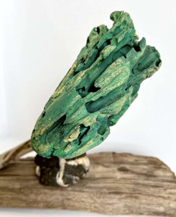 Escultura bonsai maderas a la deriva t stoupa