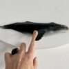 Img 6858