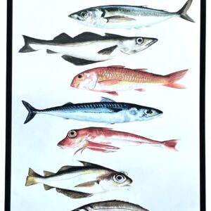 Láminas peces stoupa.4